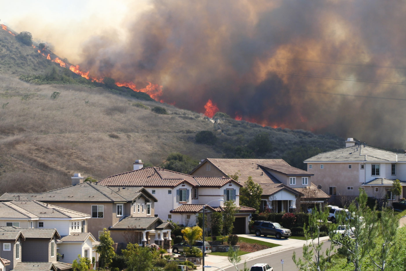 wildfire prevention service in California